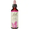 Image de Fleurs de Bach Original - Pine 20ml