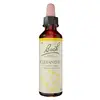 Image de Fleurs de Bach Original - Scleranthus 20ml