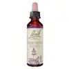 Image de Fleurs de Bach Original - Water Violet 20ml