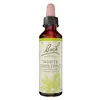 Image de Fleurs de Bach Original - White Chestnut 20ml