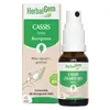 Image de Herbalgem Cassis spray Bio 15ml