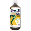 Image de Dexsil Curcuflex 1L
