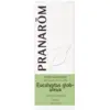 Image de Pranarom Huile Essentielle Eucalyptus Globuleux 10ml
