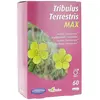 Image de Orthonat Tribulus Terrestris MAX 60 gélules