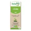 Image de Herbalgem Cèdre Bio 30 ml