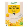 Image de Herbalgem Propolis Gommes Bio arôme cassis Junior 45g