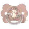 Image de Suavinex Sucette Symétrique SXPro 6/18M Wonderland Rose