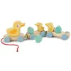Image de Canards à tirer