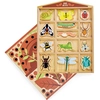 Image de Hôtel des insectes en bois