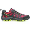 Image de Chaussures de randonnée Merrell Accentor 3 GTX Gris 44