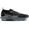 Image de Chaussures de trail Nike Pegasus Trail 5 GORE-TEX Noir 44,5