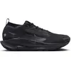 Image de Chaussures de trail Nike Pegasus 5 Gore-Tex Noir 44,5