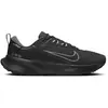 Image de Chaussures de trail Nike Juniper 2 Gore-Tex Noir 46