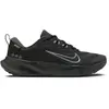 Image de Chaussures de trail femme Nike Juniper 2 Gore-Tex Noir 38