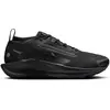 Image de Chaussures de trail femme Nike Pegasus Trail 5 GORE-TEX Noir 38