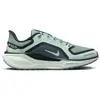Image de Chaussures de running femme Nike Pegasus 41 Gore-Tex Bleu 36,5