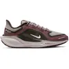 Image de Chaussures de running femme Nike Pegasus 41 Gore-Tex Rouge 42
