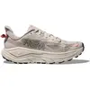 Image de Chaussures de trail femme Hoka Challenger 8 Gris 36 2/3