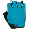 Image de Gants courts Lizard Skins Aramus Apex Bleu XL