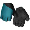 Image de Gants vélo Giro Jag Bleu M