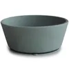 Image de Bol à ventouse en silicone Dried thyme