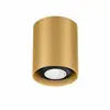 Image de Wever & Ducre - Ray Mini 1.0 Spot