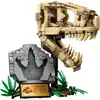 Image de LEGO Jurassic World  Les fossiles de dinosaures: le crâne du T. rex 76964
