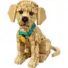 Image de LEGO LEGO® Icons Le chiot Golden Retriever 11384
