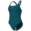Image de Maillot de bain 1 pièce femme Arena Control Pro Bleu 38