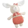 Image de Peluche Petit Coeur (25 cm)