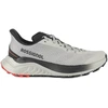 Image de Chaussures de trail Rossignol Venosk Gris 44,5