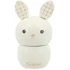 Image de Ma petite boîte à dents Lapin