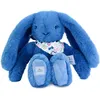 Image de Peluche Lapin Fleurette Bleu (25 cm)