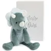 Image de Coffret peluche Dinosaure Sweety chou Copains câlins (30 cm)