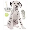 Image de Planche sticker Dalmatien (35 x 45 cm)
