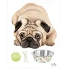 Image de Planche sticker Carlin Mops (35 x 45 cm)