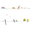 Image de Frise adhésive With the birds (5 m)