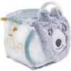 Image de Cube d'activités Buddy Loup