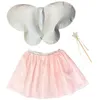 Image de Kit papillon Rose et Argent (3-8 ans)