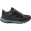 Image de Chaussures de randonnée Jack Wolfskin Terraventure Texapore Low Bleu 42,5