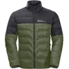 Image de Doudoune Jack Wolfskin Dna Tundra Down M Vert L