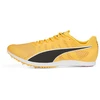 Image de Chaussures d'athlétisme Puma Evospeed Distance 11 Jaune 44