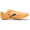 Image de Chaussures d'athlétisme Puma Noir 38