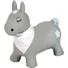 Image de Ballon sauteur Poney