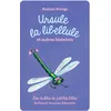 Image de Carte Drôles de petites bêtes : Ursule la libellule et autres histoires