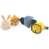 Image de Lot de 4 blocs sensoriels All Animals