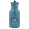 Image de Gourde Mr. Triceratops (350 ml)
