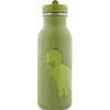 Image de Gourde Mr. Dino (500 ml)