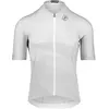 Image de Maillot Bioracer Icon Gris XL