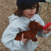 Image de Peluche chien saucisse chorizo et son panier